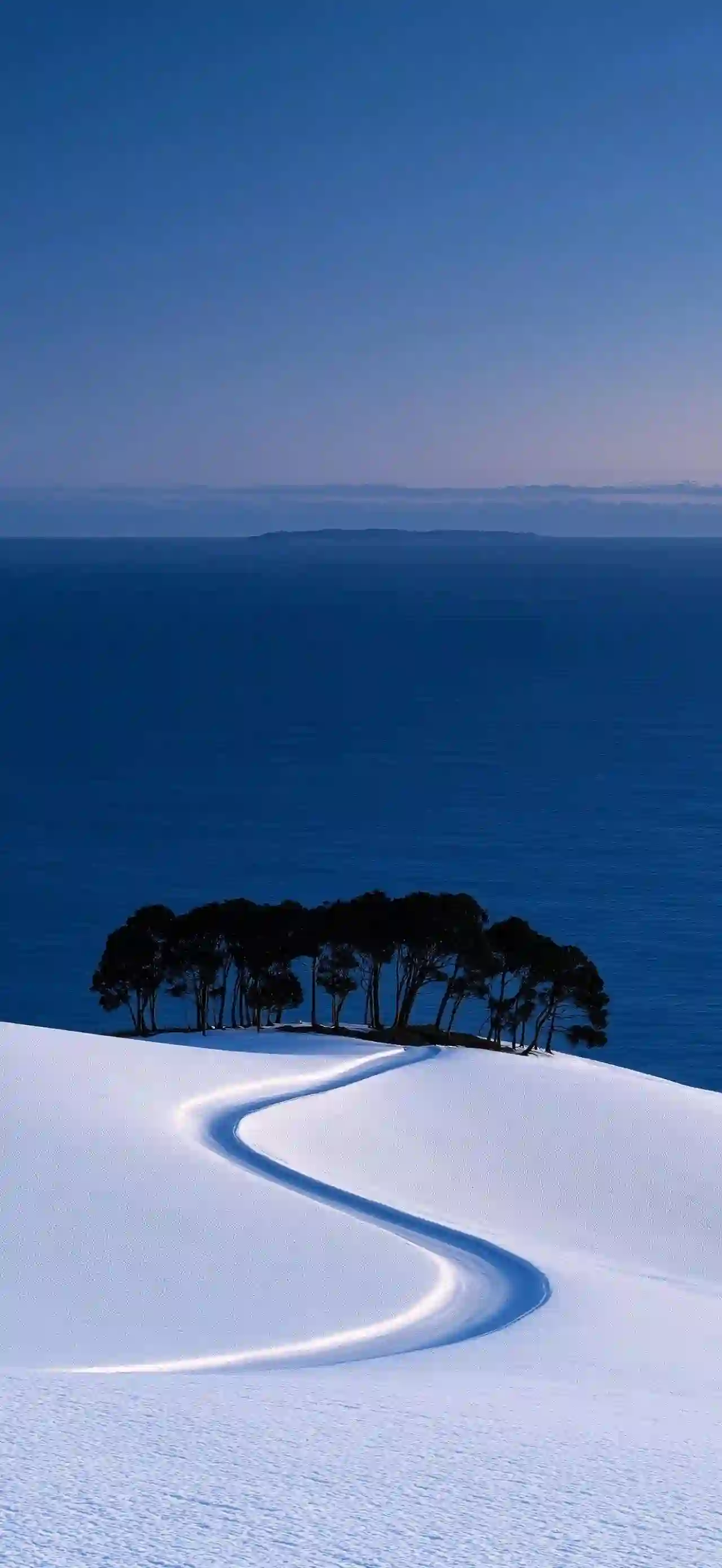 雪山公路 蓝色大海 树木剪影 自然风景 静谧风光