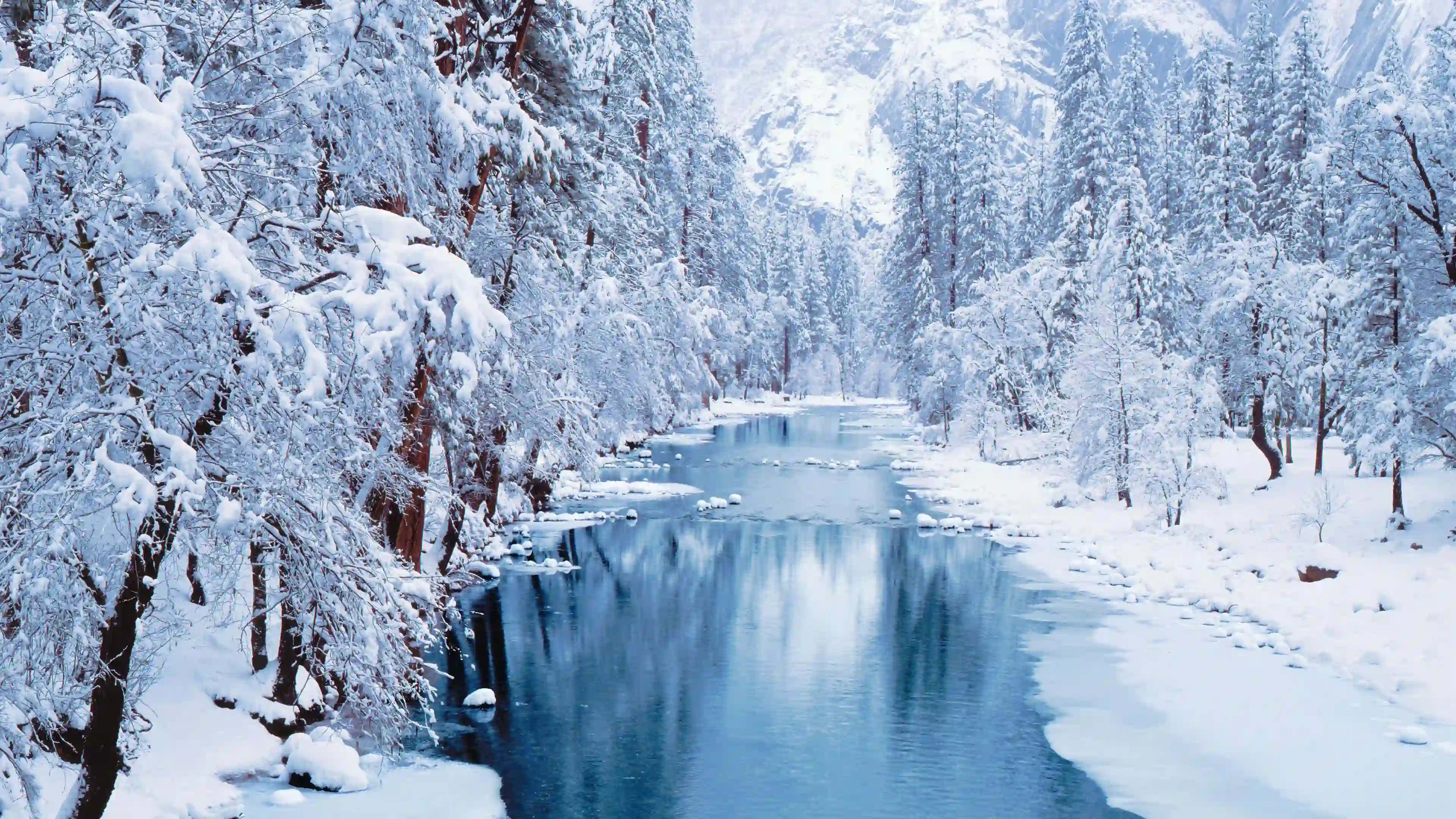 冬季 河流 森林 雪景 厚厚大雪风景