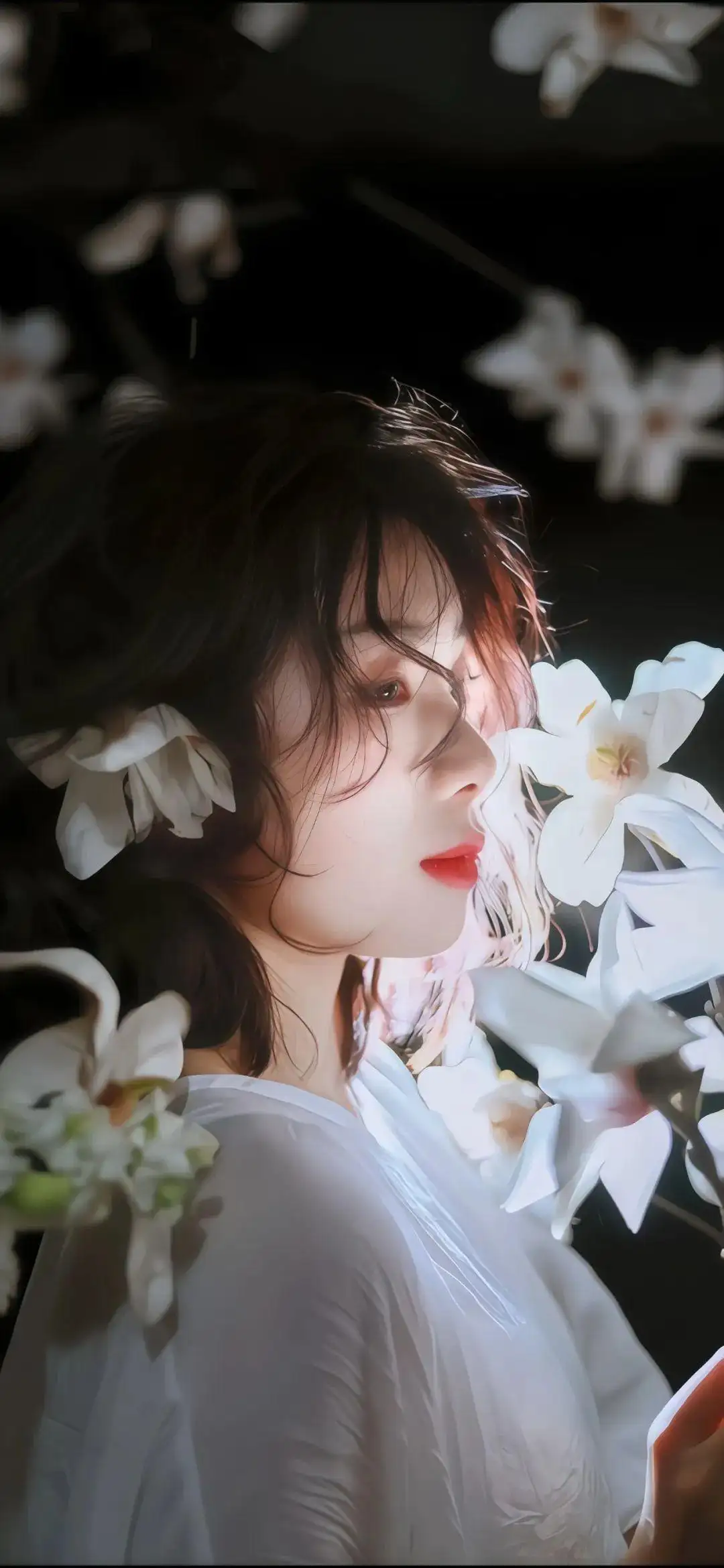 唯美主义｜白衣唯美女孩