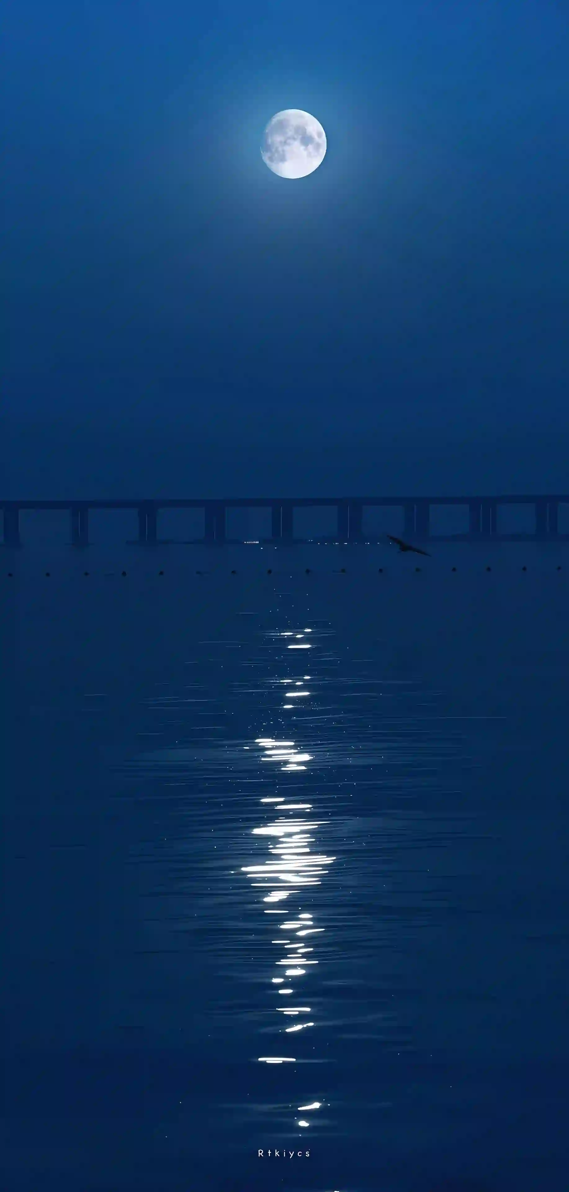 月光 水面 波光粼夜空 桥 飞鸟 唯美 风景