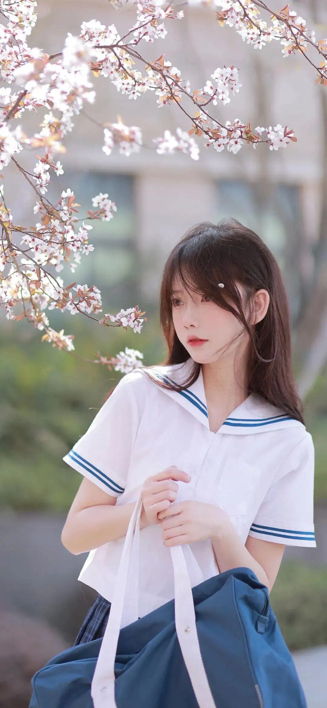 樱花｜长发唯美女孩｜jk｜jk美女