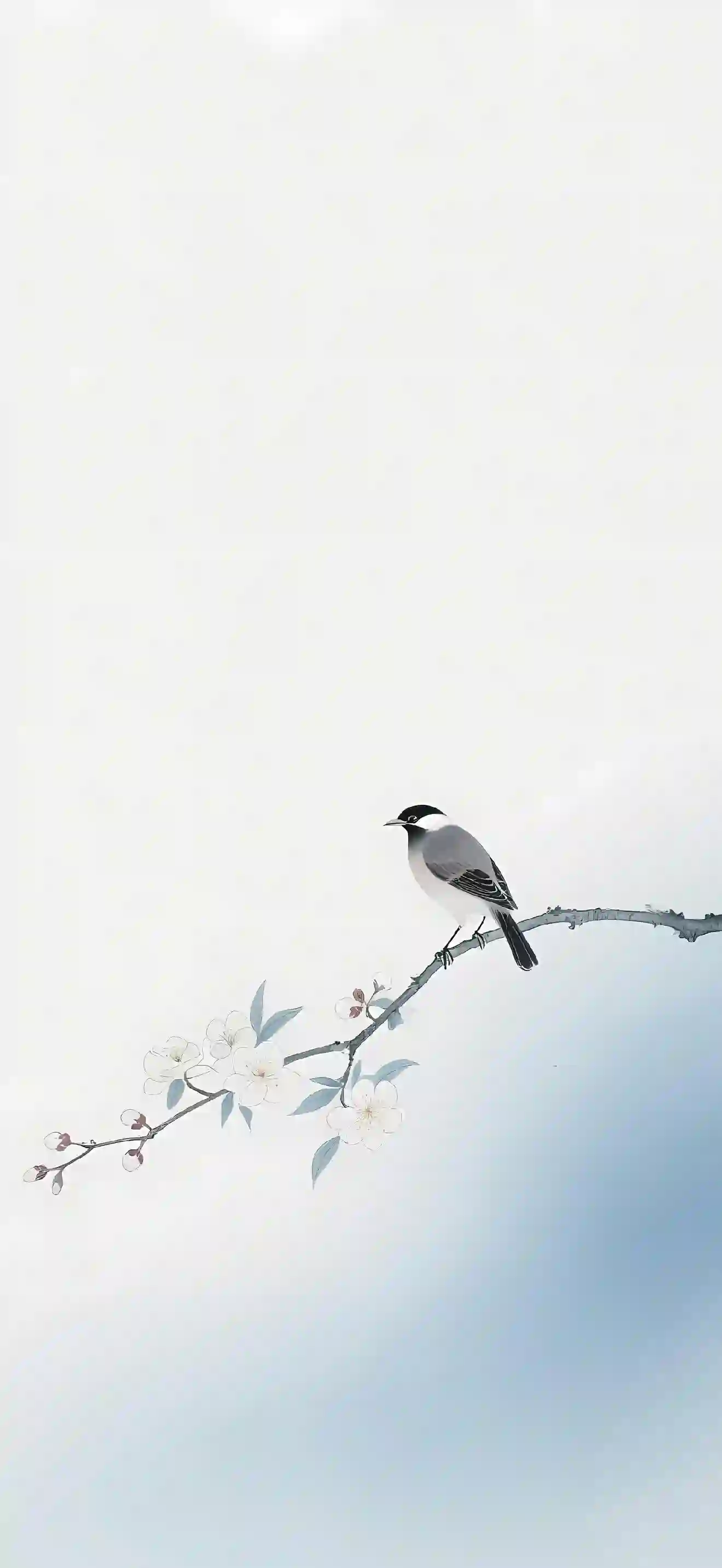 小鸟 栖枝 白花 极简 水墨画 花枝 壁纸