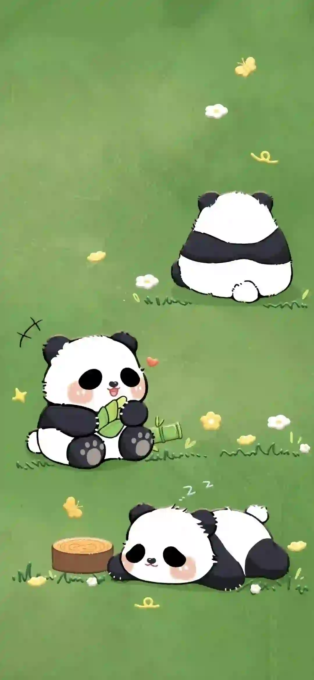 三只可爱小熊猫 熊猫
