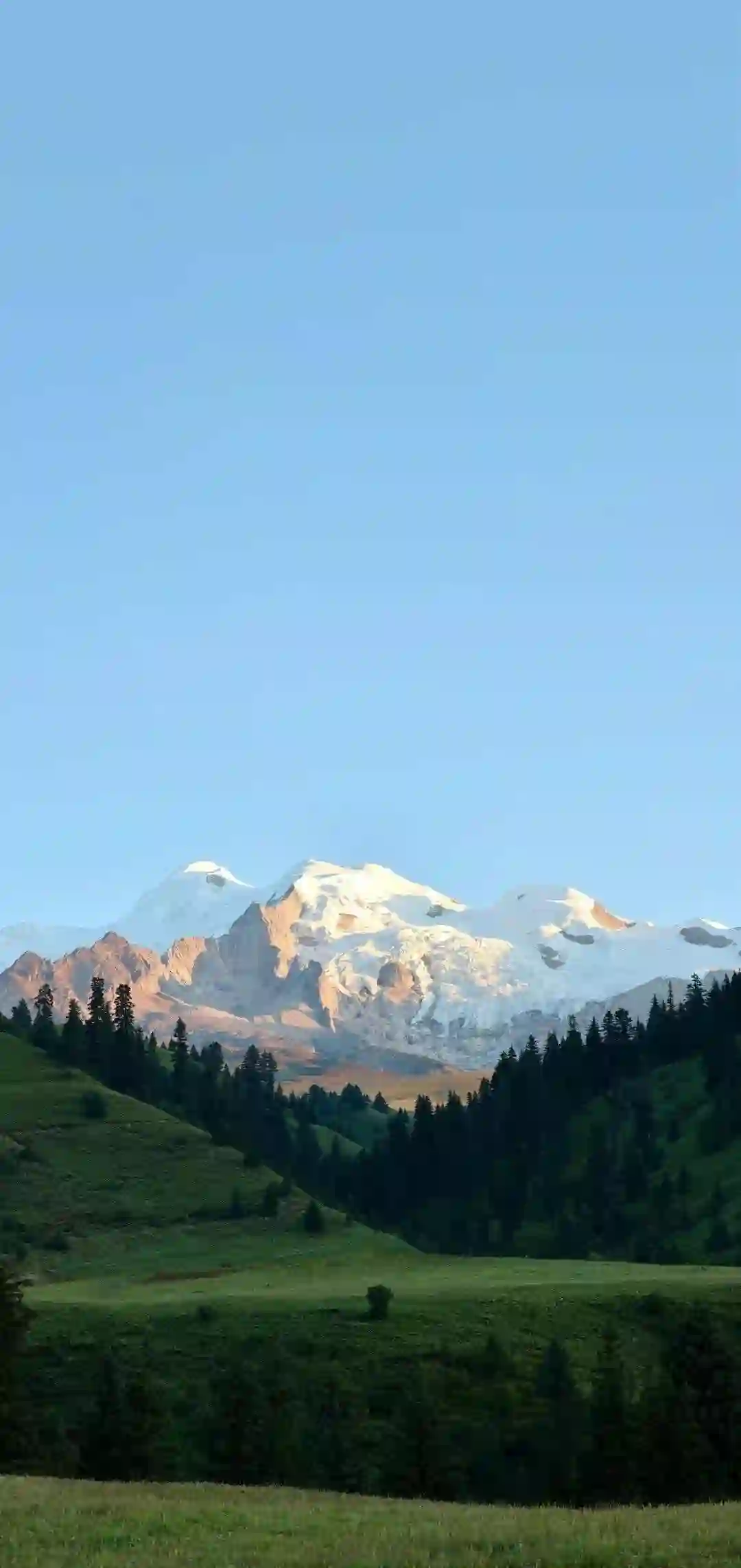 巍峨远山 雪山 森林