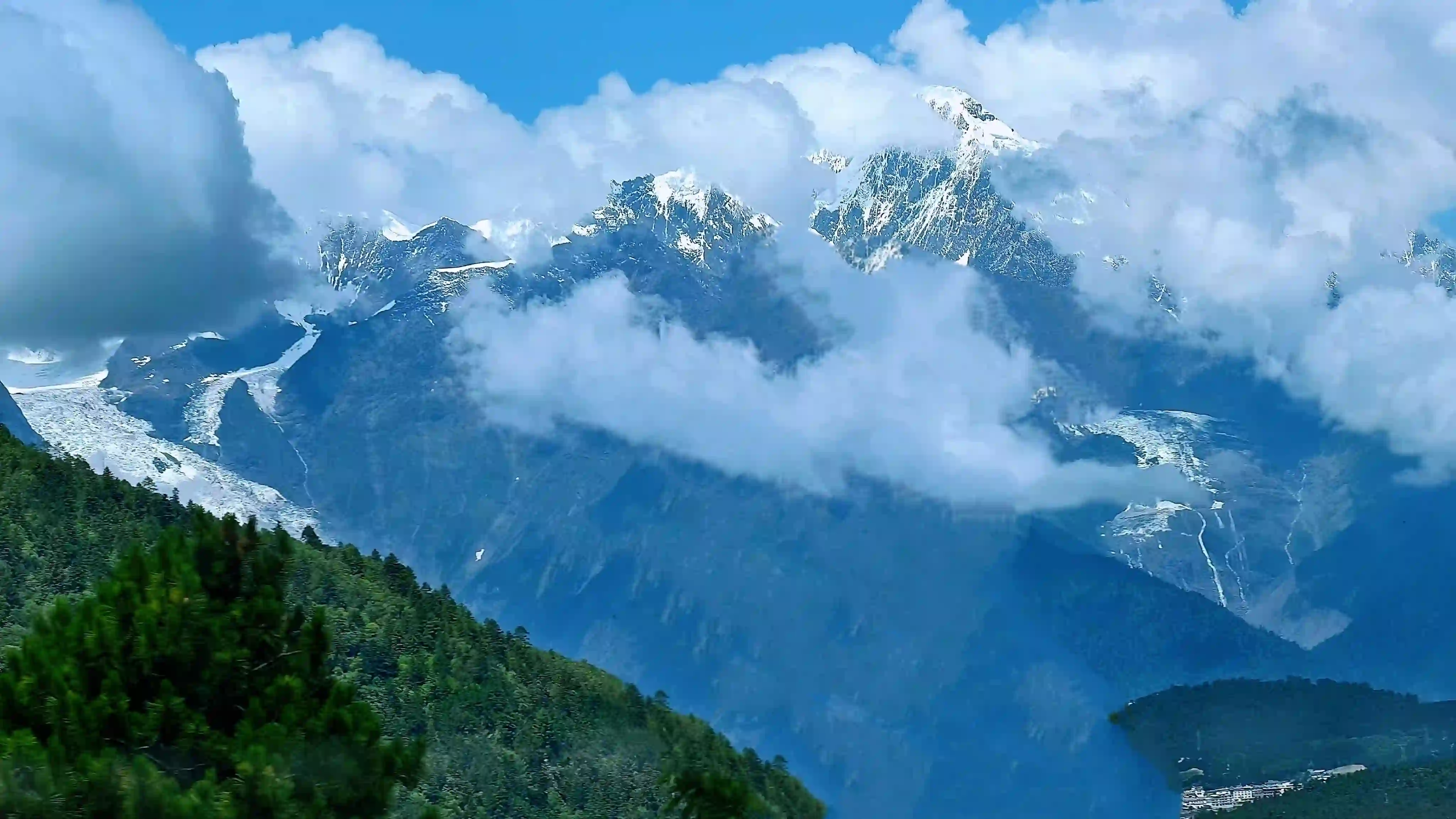 雪山 云海 风景壁纸 壮丽高山 绿色森林 自然风光