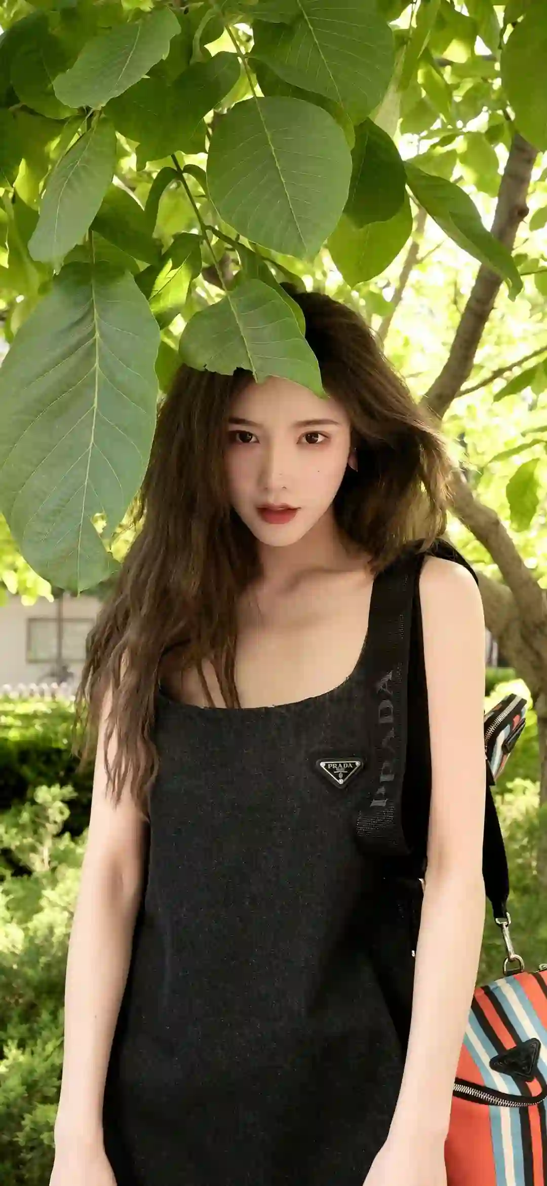 黑色长裙美女 户外场景 绿色树叶